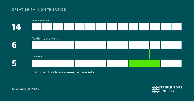 Great Britain Has 14 Distribution Licence Areas, 6 Flexibility Markets and 5 Owners